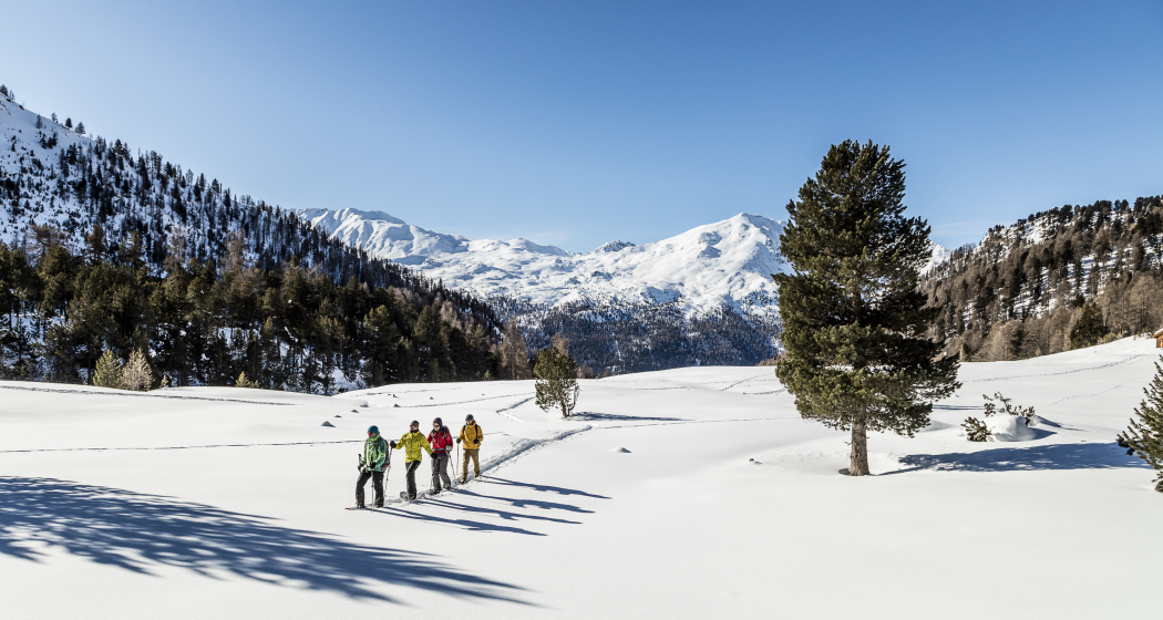Geführte Schneeschuhwanderung für Einsteiger (Halbjahrestour) (gdl_891644845_image) Geführte Schneeschuhwanderung für Einsteiger (Halbjahrestour) (gdl_891644845_image)