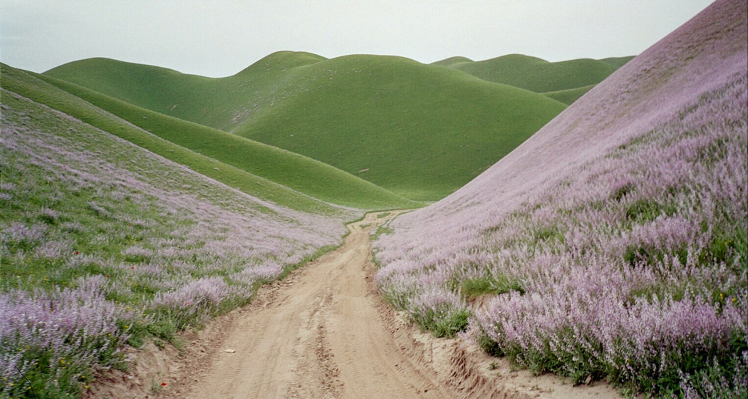 film & culinarica: RIVERBOOM (gdl_900092483_image) film & culinarica: RIVERBOOM (gdl_900092483_image)