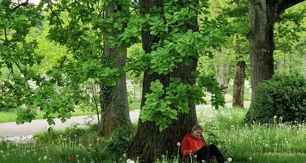 Achtsamkeit Retreat: Digital Detox in der Natur (gdl_902676172_image)