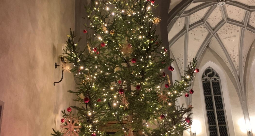 BÖS-CHIN (gdl_902970057_image)