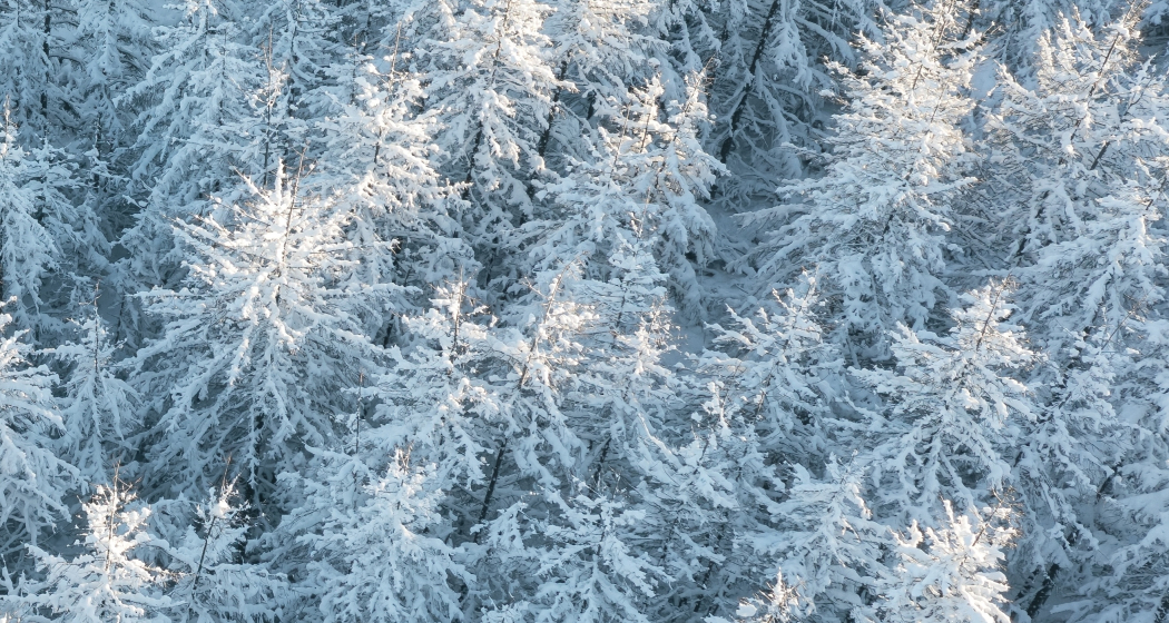 Breathwork Engadin (gdl_904201852_image)