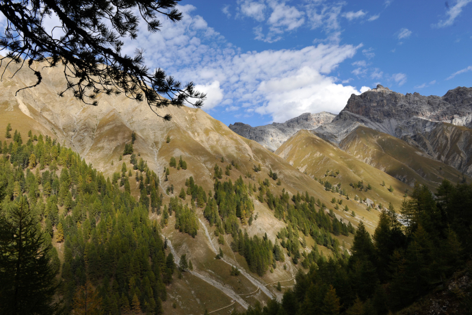 Geführte Exkursion Trupchun (nsp_img_9baa3ab)