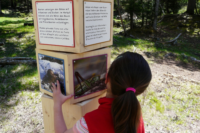 Sentier de découverte de l'ours – «senda da l'uors» (oua_10866551_image)