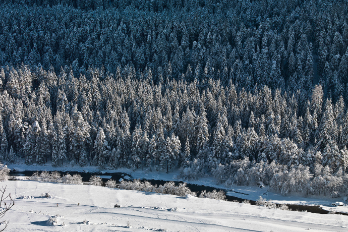 Dem Inn entlang im Unterengadin.