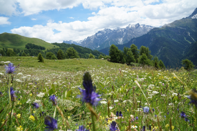 Hoch über Munt d'Ardez