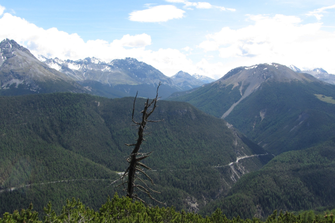 Blick vom Murter Richtung Ofenpass