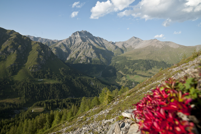 Blick ins Val Sinestra über Zuort