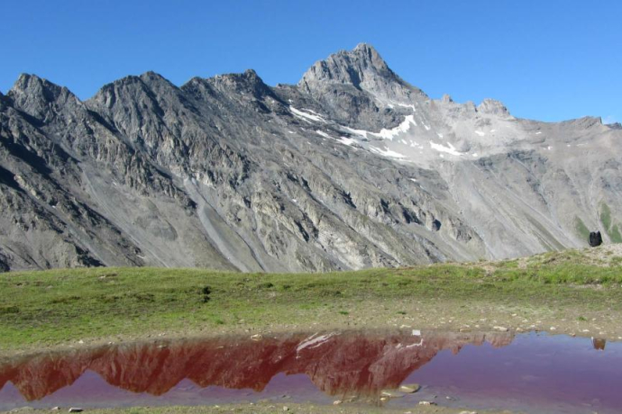 Rotes Seeli mit Stammerspitz