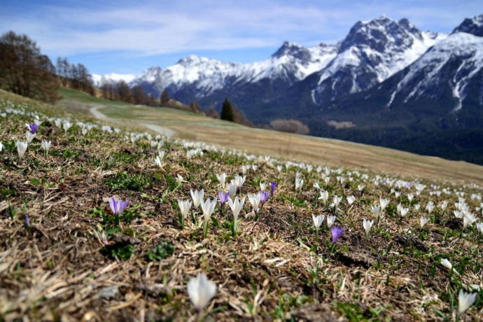 Frühling im Unterengadin