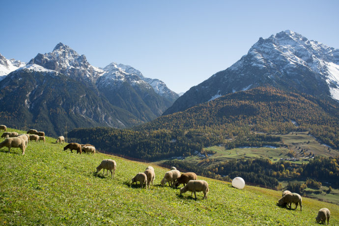 über Flöna nach Ftan (oua_15670168_image)