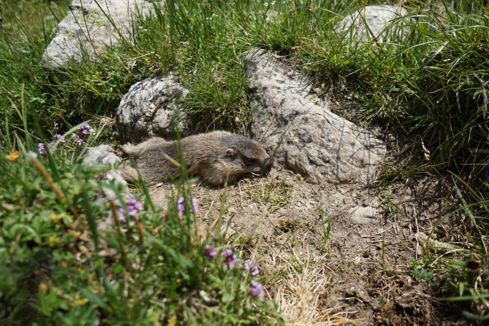 Bergwanderung Tablasot (oua_15845918_image)