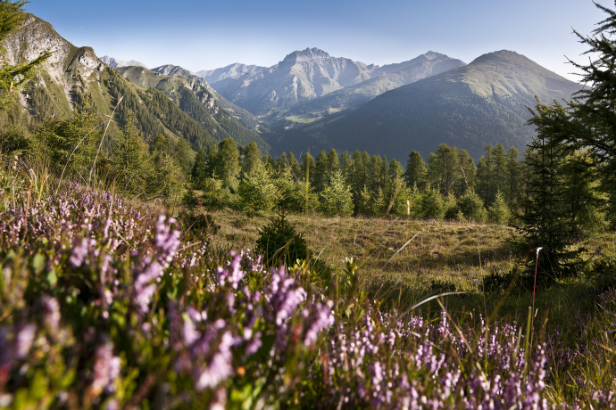 Wonderful view of Piz Tschütta