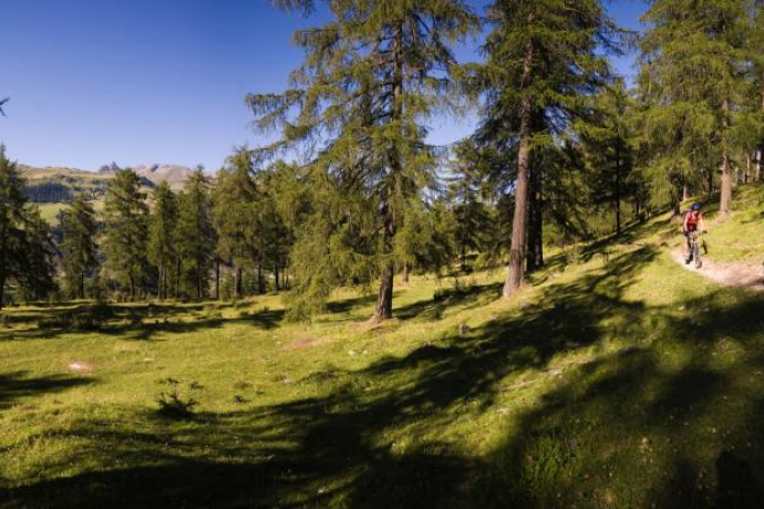 Sent – Tschlin (Rundtour) (oua_17632484_image)