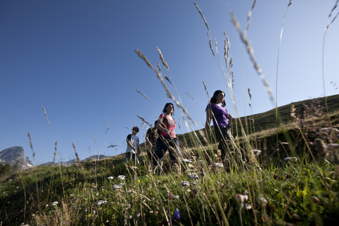Warzenbeisserweg – «senda dal magliavirüclas» (oua_17632746_image)