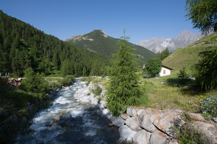 S-charl – Alp Sesvenna (circuit) (oua_17790551_image)