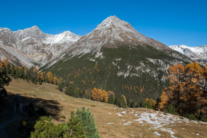 Depuis l'ancienne alpe Grimels, le Piz dal Fuorn domine à gauche.