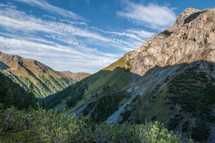 Im Aufstieg durch die Legföhrengürtel in der Val Müschauns