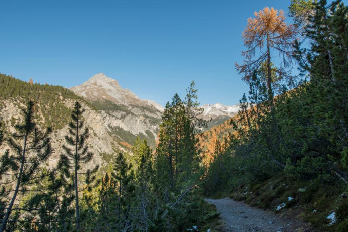 Der Weg schlängelt sich von La Drossa dem Hang entlang Richtung Alp la Schera. Im Hintergrund der Piz dal Fuorn.