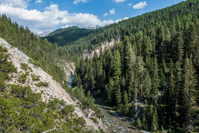 Le Spöl serpente à travers les forêts de la vallée éponyme.