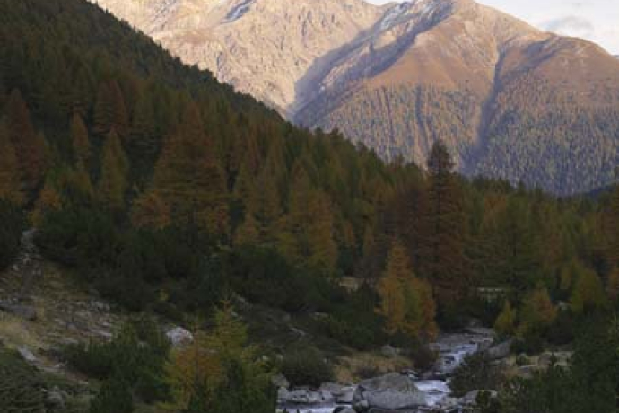 87 Via Engiadina: Étape 5 Zuoz-Zernez (oua_23436274_image)