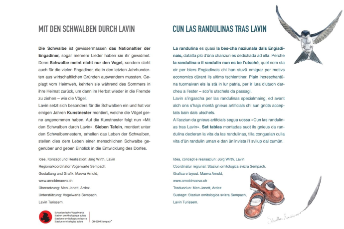 Mit den Schwalben durch Lavin (oua_24013661_image)