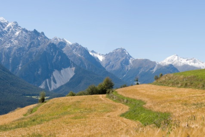 Kornterassen östlich von Sent