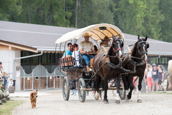 San Jon Kutschen- und Schlittenfahrten (oua_30177800_image)
