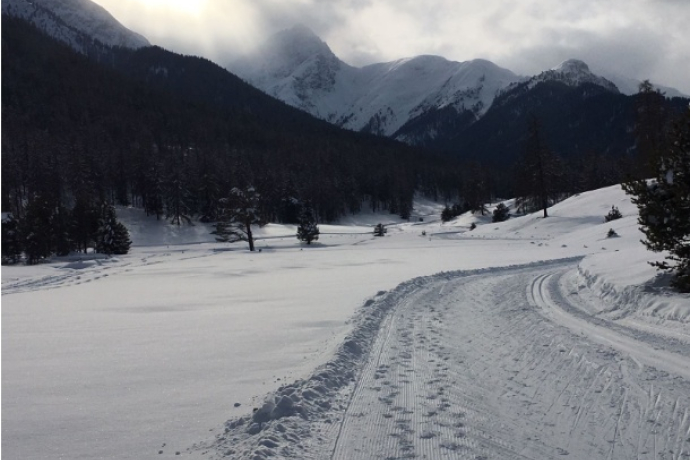 Tarasp: Lai Nair (oua_31961339_image)