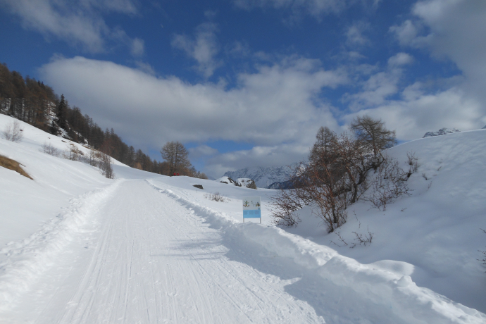 Schellen-Ursli-Weg, Guarda – Plan dal Növ (retour) (oua_32230783_image)