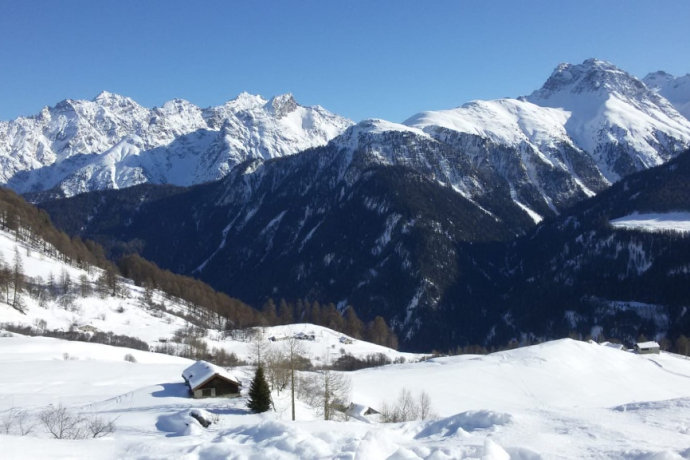 Guarda – Bos-cha – Munt – Ardez (359) (oua_32329659_image)