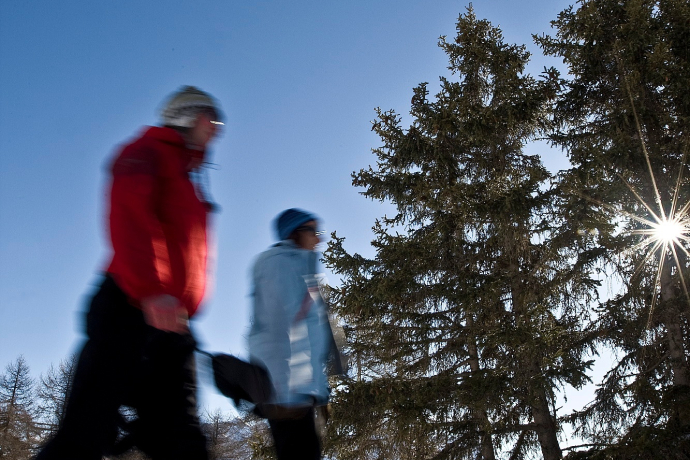 Zernez – Costetta (parcours circulaire) (oua_32331646_image)