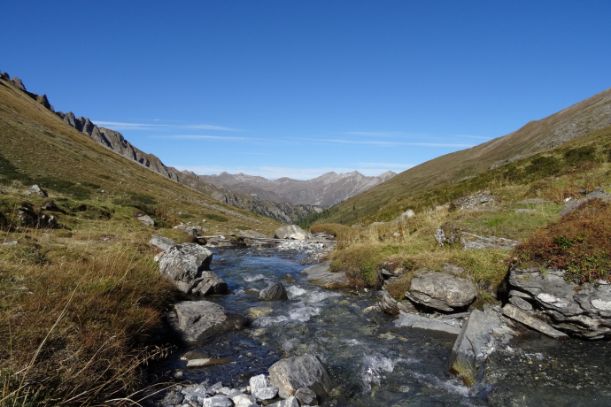 Acla da Fans - Val Sampuoir (oua_45861878_image)