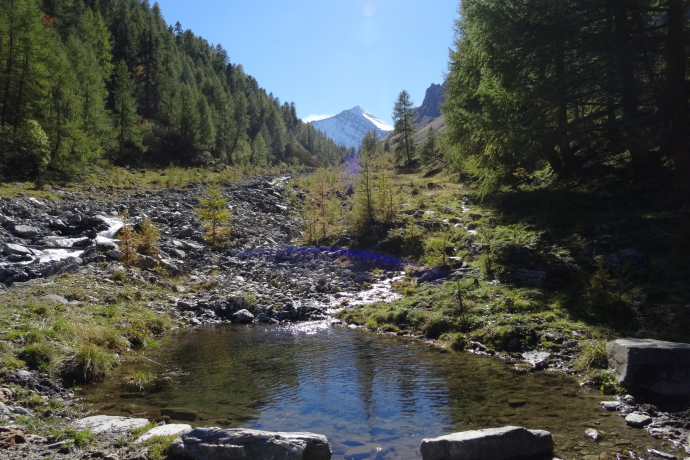 Acla da Fans - Val Sampuoir (oua_45861892_image)