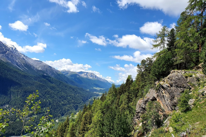 Brail – Alp Barlas-ch – Val Pülschezza – Zernez (oua_51334167_image)