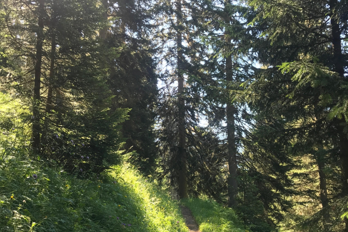 Via Engiadina étape 12 : Tschlin – Vinadi [SchweizMobil-n° 87] (oua_52319490_image)