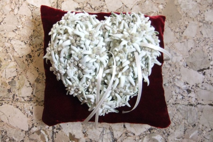 Fluors & Orticultura Malgiaritta (oua_56326826_image)