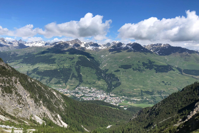 matossi.ch (oua_56888217_image)