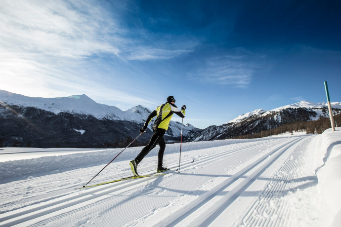 Ferienwohnung Chasa Puntin EG (oua_60851584_image)