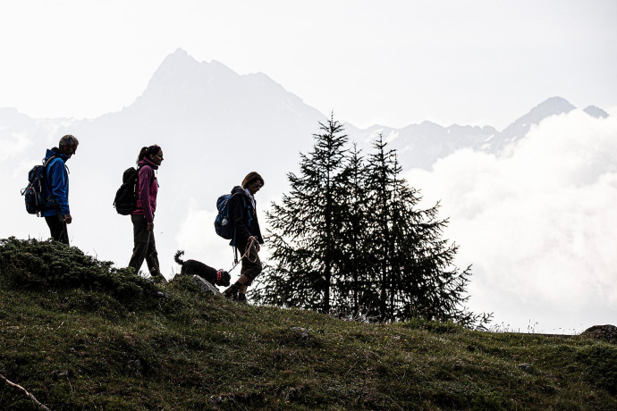Senda Piz Clünas: Ftan, Prui – Piz Clünas – Ftan, Prui (660) (oua_614945917_image)