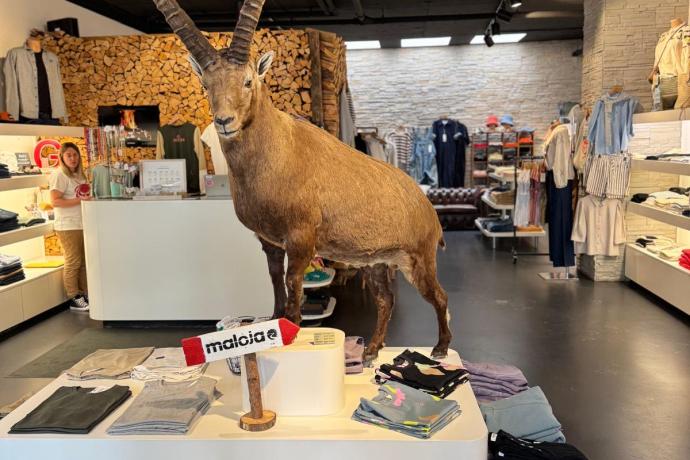 Alprauschstore (oua_617197101_image)