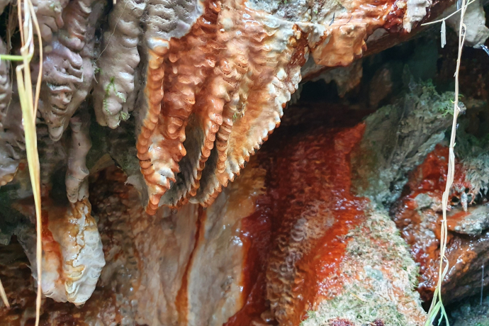 Spezielle Ausprägungen des Quelltuffs der Obere Fuschna-Quelle