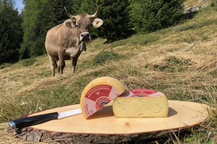 Chascharia / Käserei Ftan (oua_71780834_image) Chascharia / Käserei Ftan (oua_71780834_image)