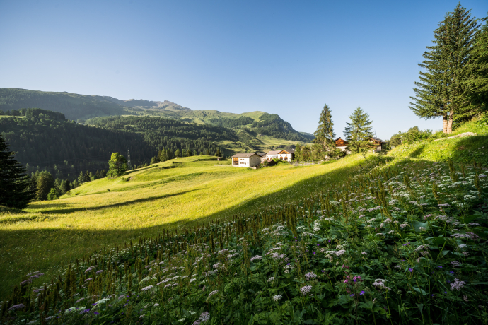 Ardez – Sur En d’Ardez – Giarsun (oua_72937964_image)