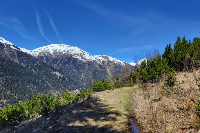 Zernez – Sivü (parcours circulaire) (oua_79460538_image)