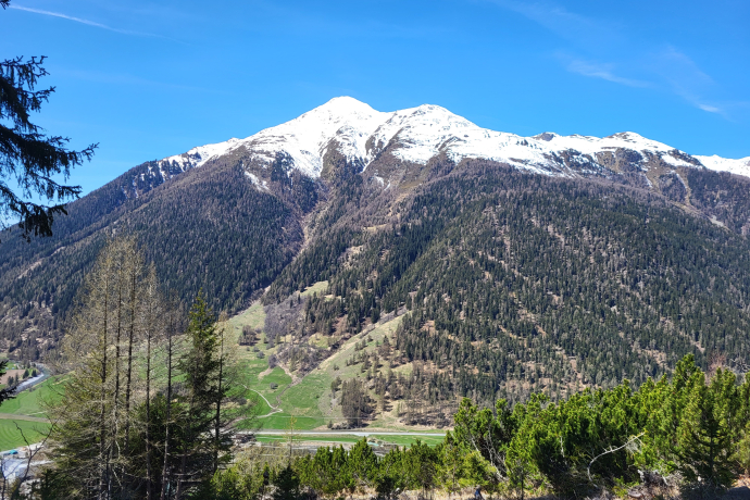 Zernez – Sivü (Rundweg) (oua_79460539_image)