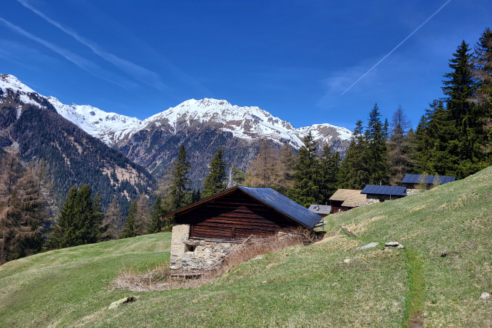 Zernez – Sivü (Rundweg) (oua_79460540_image)