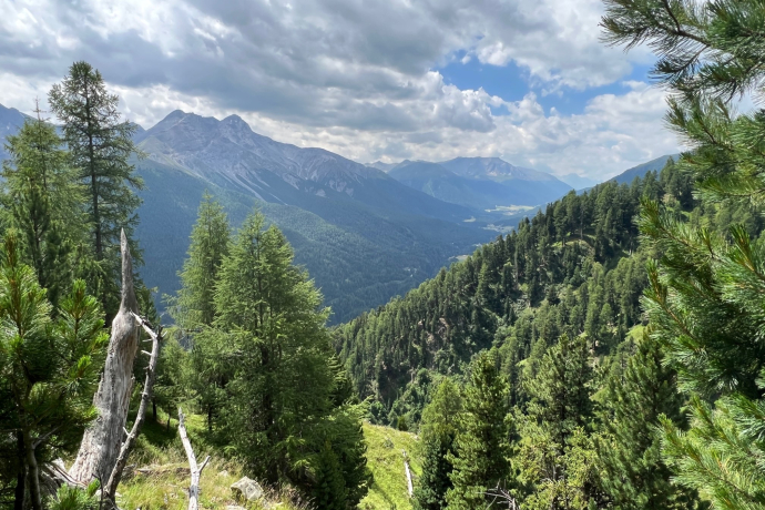 Brail – Alp Barlas-ch – Alp Munt – Zernez (oua_82085356_image)