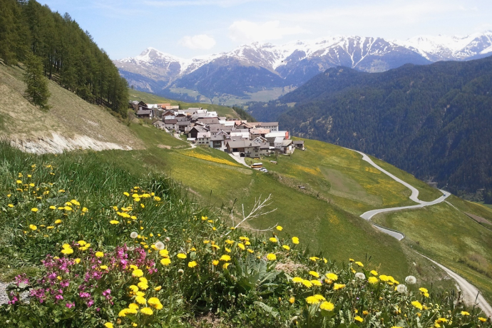 442.01 Engiadina Bassa Etappe 1 Susch - Ftan (oua_9061437_image)