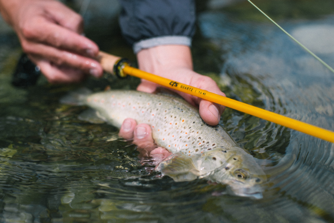 V-Stick Custom Flyrods (oua_90975424_image)