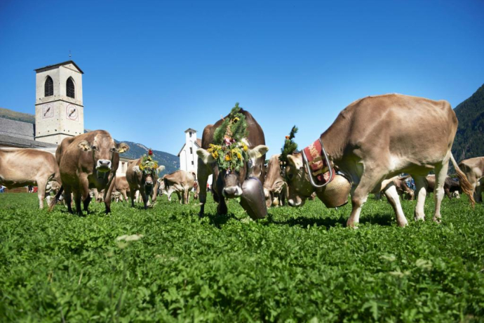 45.04 Süsom Give - Il Fuorn, sentier panoramique du Parc national (oua_9665454_image)